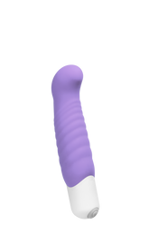 Inu Mini Vibe Orgasmic Orchid Compact Adult Pleasure Toy Vibrators - G Spot